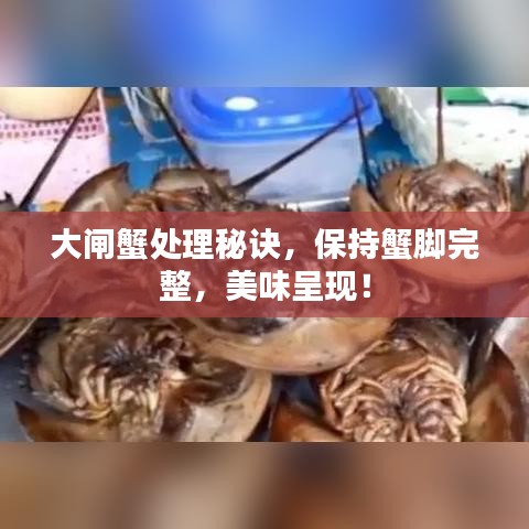 大閘蟹處理秘訣，保持蟹腳完整，美味呈現(xiàn)！
