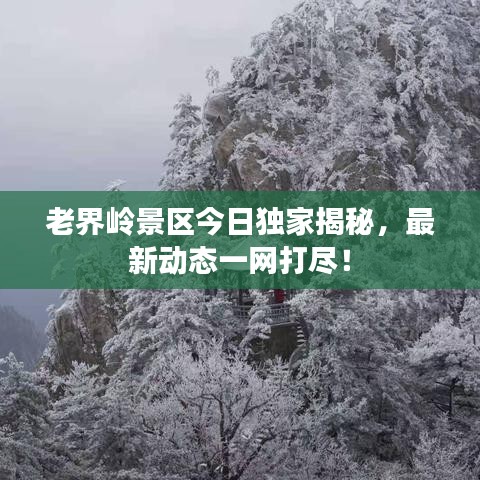 老界嶺景區(qū)今日獨(dú)家揭秘，最新動(dòng)態(tài)一網(wǎng)打盡！