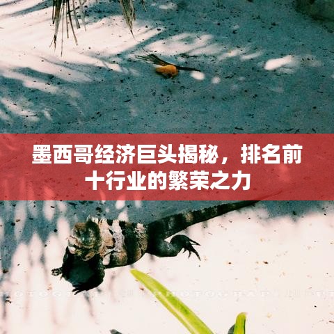 墨西哥經(jīng)濟(jì)巨頭揭秘，排名前十行業(yè)的繁榮之力