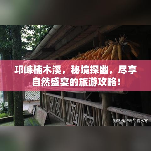 邛崍楠木溪，秘境探幽，盡享自然盛宴的旅游攻略！