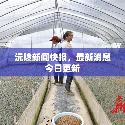 沅陵新聞快報，最新消息今日更新