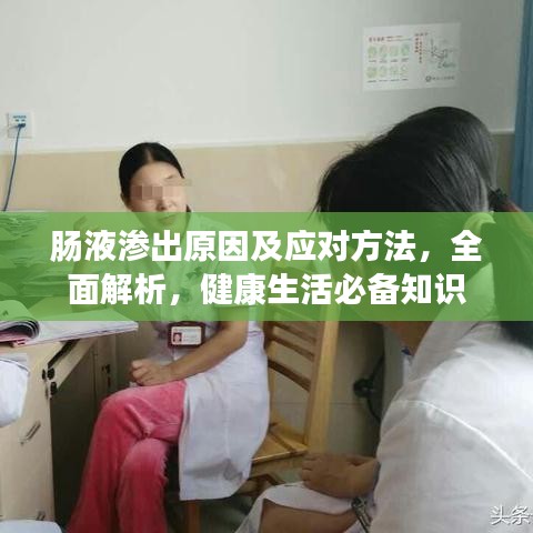 腸液滲出原因及應(yīng)對(duì)方法，全面解析，健康生活必備知識(shí)