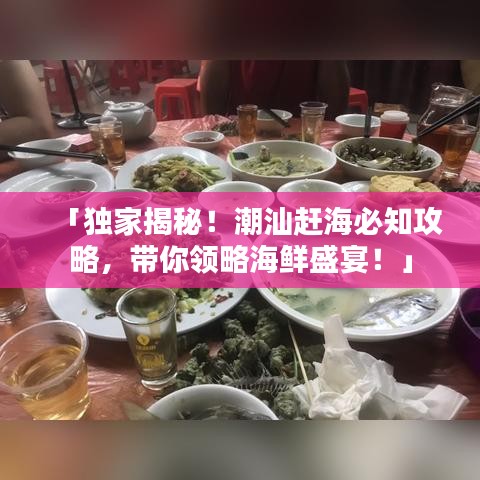 「獨(dú)家揭秘！潮汕趕海必知攻略，帶你領(lǐng)略海鮮盛宴！」