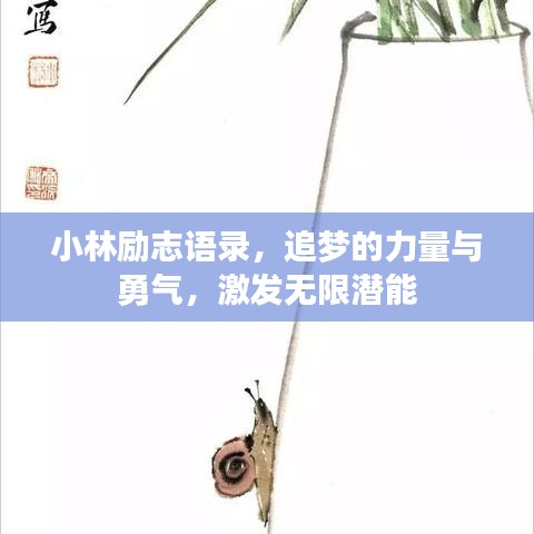 小林勵志語錄，追夢的力量與勇氣，激發(fā)無限潛能