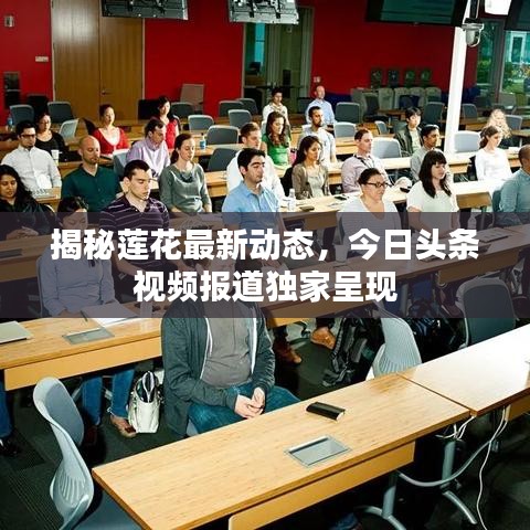 揭秘蓮花最新動態(tài)，今日頭條視頻報道獨(dú)家呈現(xiàn)