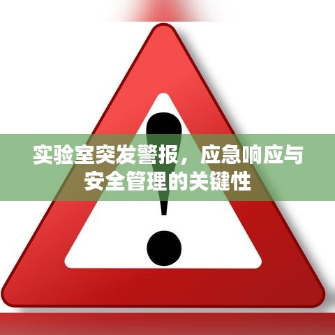 實(shí)驗(yàn)室突發(fā)警報(bào)，應(yīng)急響應(yīng)與安全管理的關(guān)鍵性