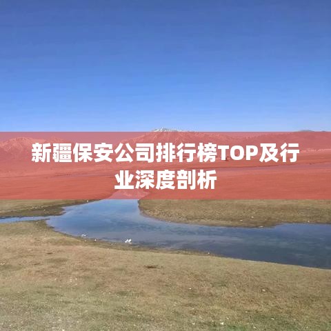 新疆保安公司排行榜TOP及行業(yè)深度剖析