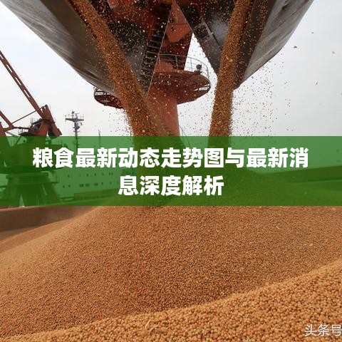糧食最新動(dòng)態(tài)走勢(shì)圖與最新消息深度解析