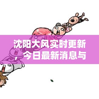 沈陽(yáng)大風(fēng)實(shí)時(shí)更新，今日最新消息與動(dòng)態(tài)
