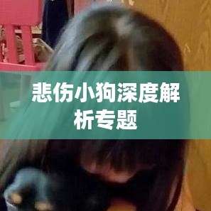 悲傷小狗深度解析專題