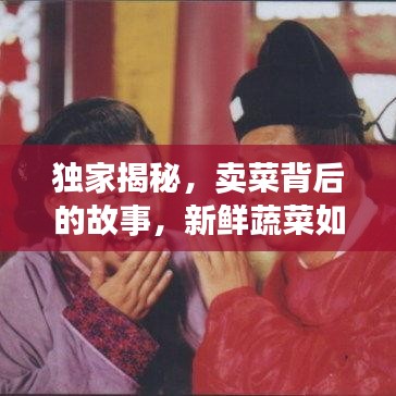 獨家揭秘，賣菜背后的故事，新鮮蔬菜如何走進千家萬戶？