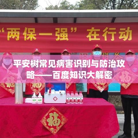 平安樹常見病害識(shí)別與防治攻略——百度知識(shí)大解密