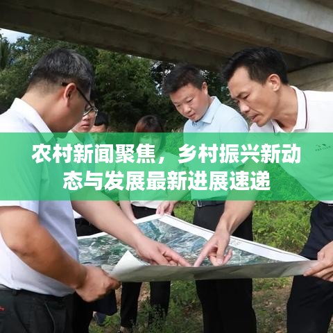農(nóng)村新聞聚焦，鄉(xiāng)村振興新動(dòng)態(tài)與發(fā)展最新進(jìn)展速遞