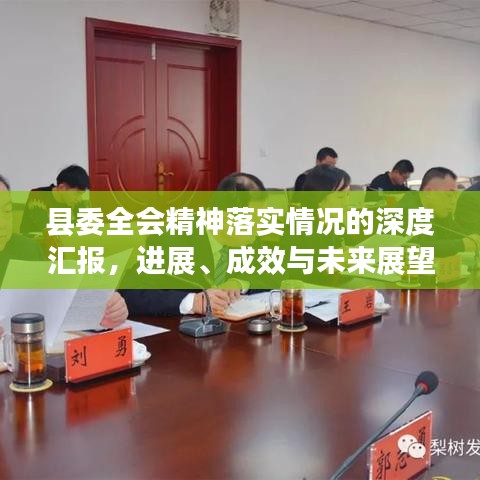 縣委全會(huì)精神落實(shí)情況的深度匯報(bào)，進(jìn)展、成效與未來(lái)展望