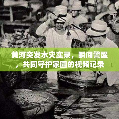 黃河突發(fā)水災(zāi)實(shí)錄，瞬間警醒，共同守護(hù)家園的視頻記錄