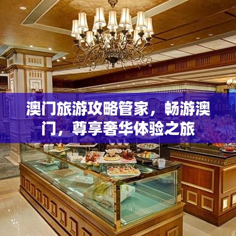 澳門旅游攻略管家，暢游澳門，尊享奢華體驗(yàn)之旅