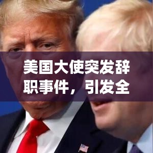 美國大使突發(fā)辭職事件，引發(fā)全球矚目關(guān)注！