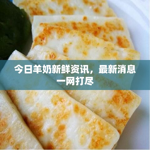 今日羊奶新鮮資訊，最新消息一網(wǎng)打盡