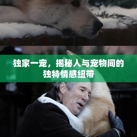 獨(dú)家一寵，揭秘人與寵物間的獨(dú)特情感紐帶