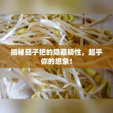 揭秘茄子把的隱藏韌性，超乎你的想象！