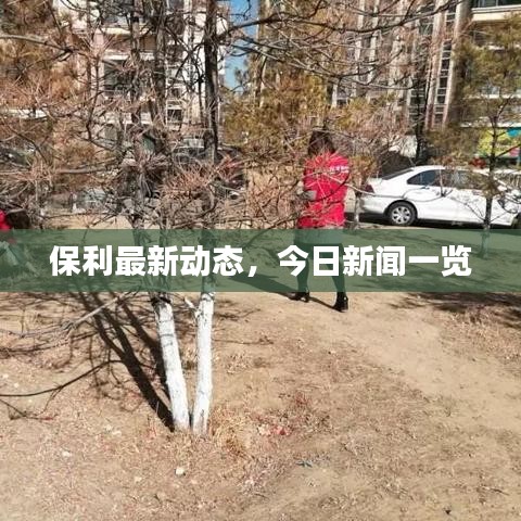 保利最新動(dòng)態(tài)，今日新聞一覽