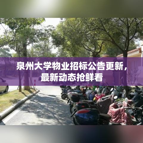 泉州大學(xué)物業(yè)招標(biāo)公告更新，最新動(dòng)態(tài)搶鮮看