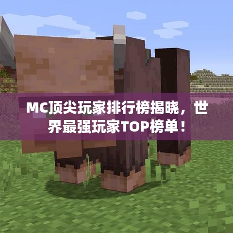 MC頂尖玩家排行榜揭曉，世界最強(qiáng)玩家TOP榜單！