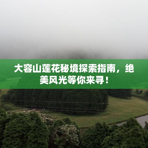大容山蓮花秘境探索指南，絕美風(fēng)光等你來尋！