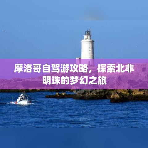 摩洛哥自駕游攻略，探索北非明珠的夢幻之旅