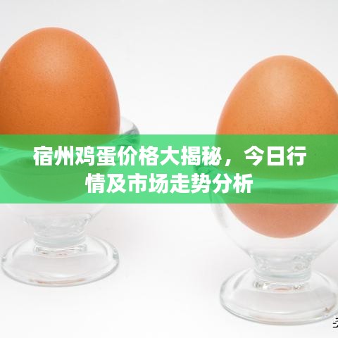 宿州雞蛋價(jià)格大揭秘，今日行情及市場(chǎng)走勢(shì)分析