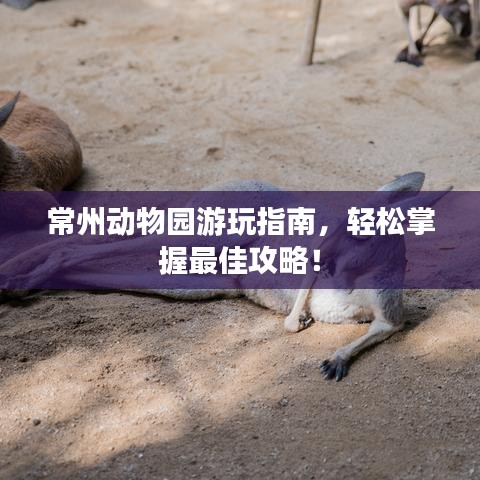 常州動物園游玩指南，輕松掌握最佳攻略！