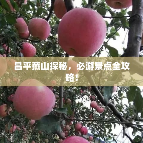 獨學寡聞