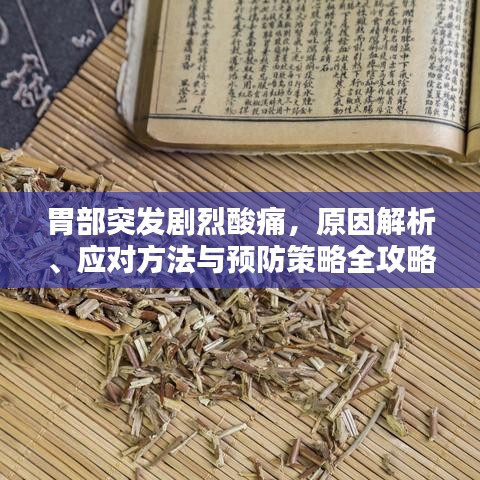胃部突發(fā)劇烈酸痛，原因解析、應(yīng)對方法與預(yù)防策略全攻略