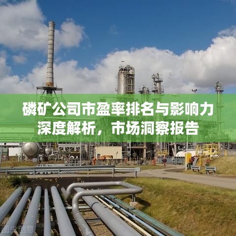 磷礦公司市盈率排名與影響力深度解析，市場洞察報告
