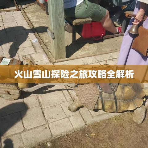 火山雪山探險(xiǎn)之旅攻略全解析