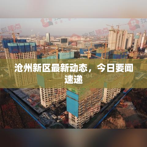 滄州新區(qū)最新動態(tài)，今日要聞速遞