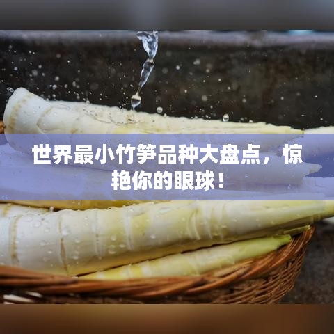 世界最小竹筍品種大盤點，驚艷你的眼球！