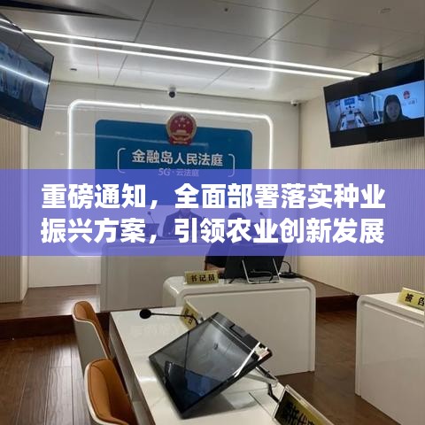 重磅通知，全面部署落實種業(yè)振興方案，引領(lǐng)農(nóng)業(yè)創(chuàng)新發(fā)展新篇章