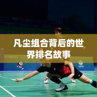 凡塵組合背后的世界排名故事
