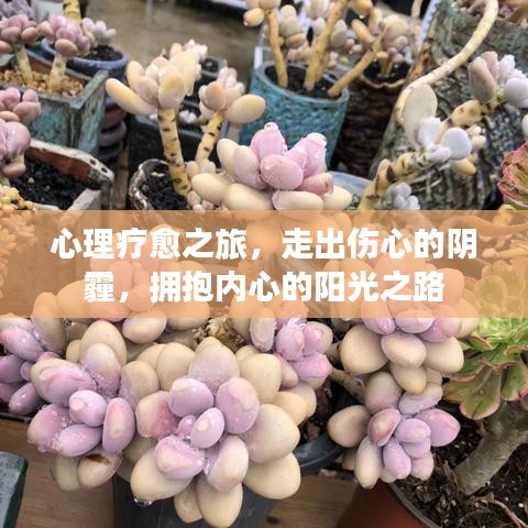 心理療愈之旅，走出傷心的陰霾，擁抱內(nèi)心的陽光之路