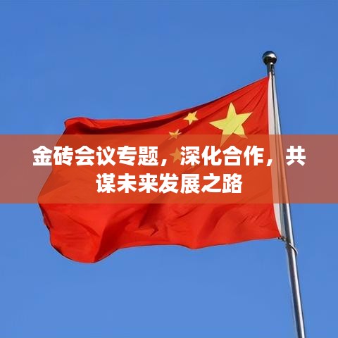 金磚會(huì)議專題，深化合作，共謀未來(lái)發(fā)展之路