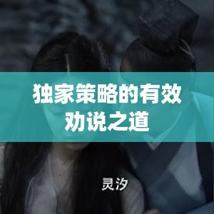 獨(dú)家策略的有效勸說(shuō)之道