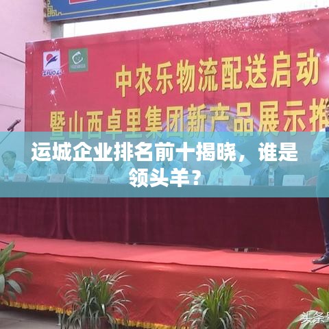 運城企業(yè)排名前十揭曉，誰是領頭羊？