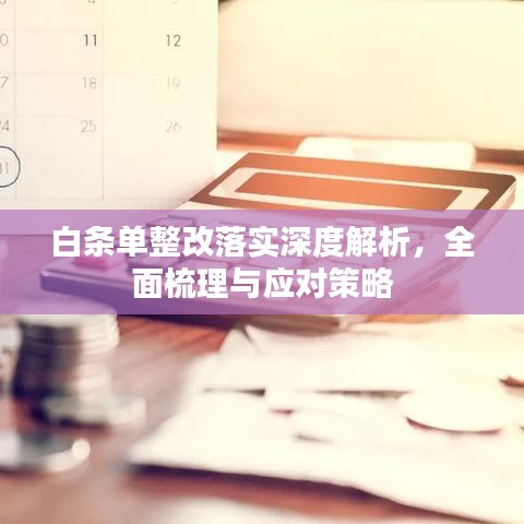 白條單整改落實(shí)深度解析，全面梳理與應(yīng)對(duì)策略