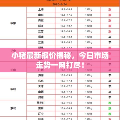 小豬最新報(bào)價(jià)揭秘，今日市場(chǎng)走勢(shì)一網(wǎng)打盡！