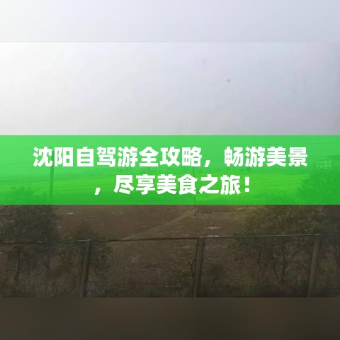 沈陽自駕游全攻略，暢游美景，盡享美食之旅！