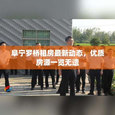 阜寧羅橋租房最新動態(tài)，優(yōu)質(zhì)房源一覽無遺