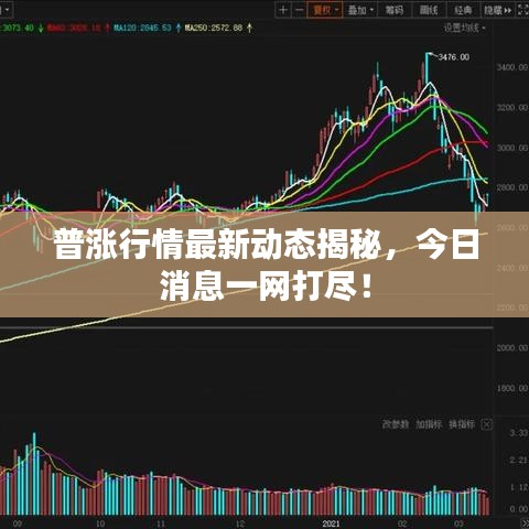 普漲行情最新動(dòng)態(tài)揭秘，今日消息一網(wǎng)打盡！