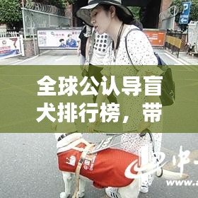 全球公認(rèn)導(dǎo)盲犬排行榜，帶你了解最信賴的盲犬品種！