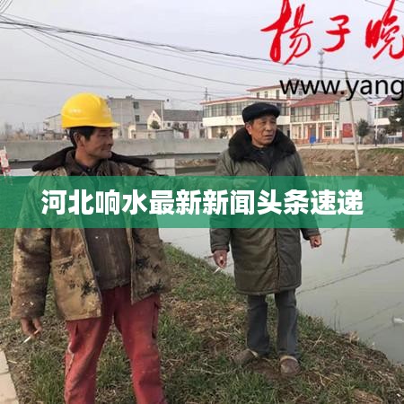 河北響水最新新聞?lì)^條速遞